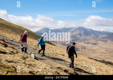 Hikers hiking down on mountain path from Moel Siabod to Capel Curig with view to Mt Snowdon Horseshoe in mountains of Snowdonia (Eryri) Wales UK Stock Photo