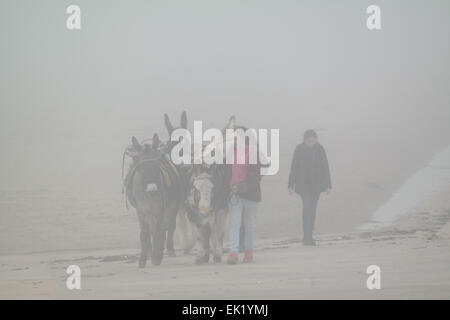 Blackpool UK, 5th April 2015. Weather news, A foggy and gloomy Easter Sunday on the promenade at Blackpool. Time for the donkey's to head home with the foggy conditions spoiling the trade for the donkey owners.  Credit: Gary Telford/Alamy live news Stock Photo