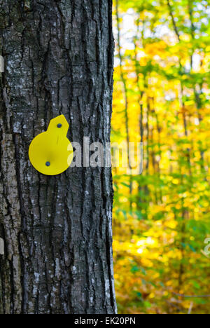 Yellow trail marker arrow pointing to upper right on tree in forest. Stock Photo