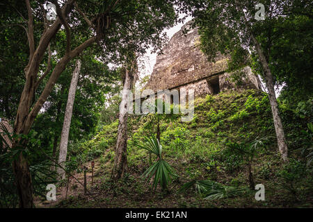 Temple VI, Tikal, Guatemala Stock Photo