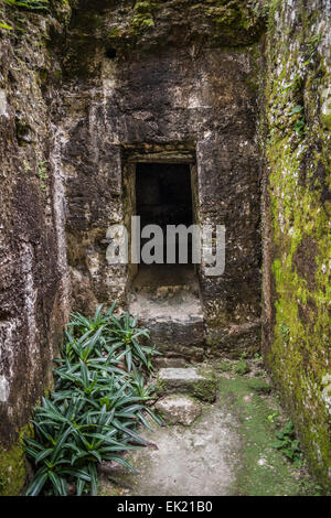 Palacio de las Acanaladuras, Tikal, Guatemala Stock Photo