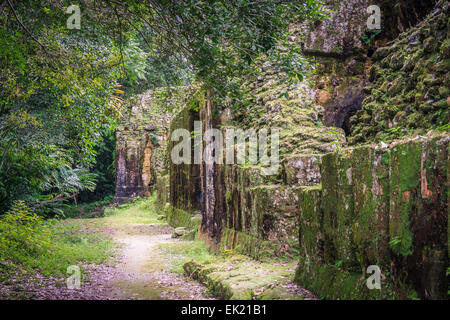 Palacio de las Acanaladuras, Tikal, Guatemala Stock Photo