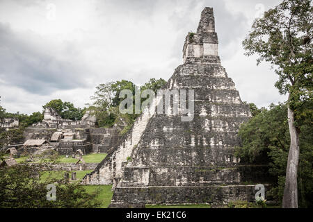 Jaguar Temple, Tikal, Guatemala Stock Photo