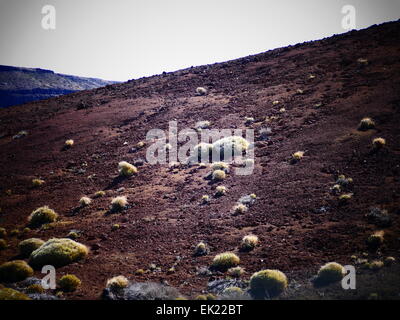 Mt Teide Parque Nacional del Teide Tenerife island Canary islands Spain Stock Photo