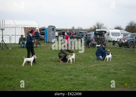 Thame, Oxon, UK. 5th April, 2015. Thame country show Day 1, Oxfordshire, 5th April 2015, picture from the annual dog, horse and crafts show near Oxford. Credit:  Stanislav Halcin/Alamy Live News Stock Photo