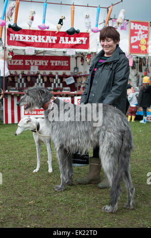 Thame, Oxon, UK. 5th April, 2015. Thame country show Day 1, Oxfordshire, 5th April 2015, picture from the annual dog, horse and crafts show near Oxford. Credit:  Stanislav Halcin/Alamy Live News Stock Photo