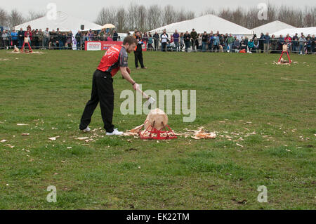 Thame, Oxon, UK. 5th April, 2015. Thame country show Day 1, Oxfordshire, 5th April 2015, picture from the annual dog, horse and crafts show near Oxford. Credit:  Stanislav Halcin/Alamy Live News Stock Photo