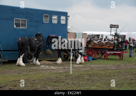 Thame, Oxon, UK. 5th April, 2015. Thame country show Day 1, Oxfordshire, 5th April 2015, picture from the annual dog, horse and crafts show near Oxford. Credit:  Stanislav Halcin/Alamy Live News Stock Photo