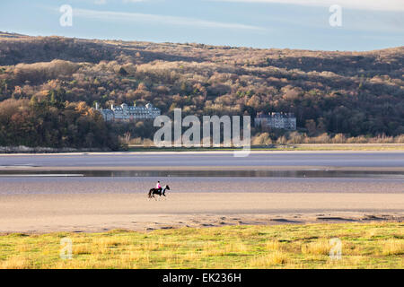 Horse on Morecambe Bay from Arnside Point. Stock Photo