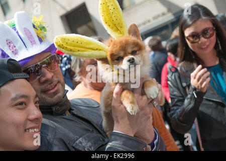 Pet dog wearing bunny ears with his owner taking part in the annual Easter Bonnet parade on Manhattan's Fifth Avenue. Stock Photo