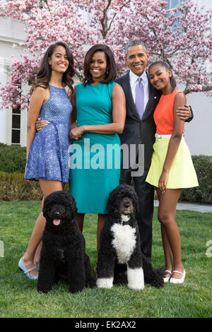 US President Barack Obama, First Lady Michelle Obama, and daughters Malia and Sasha pose for a family portrait with Bo and Sunny in the Rose Garden of the White House on Easter Sunday April 5, 2015 in Washington, DC. Stock Photo