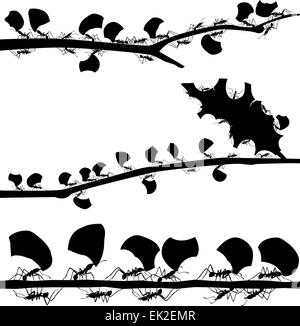 Set of EPS8 editable vector silhouettes of leaf cutter ants with all leaf fragments and ants as separate objects Stock Vector