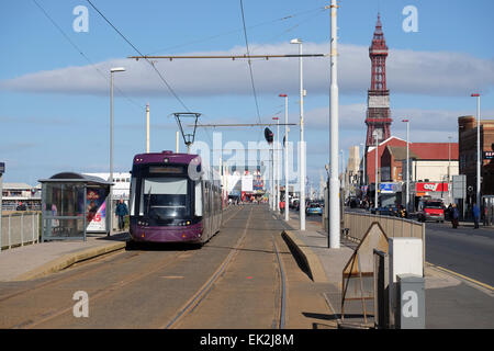 Blackpool, Lancashire, UK: One of Blackpool's new modern trams running along the promenade past the Tower. Stock Photo