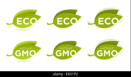 Vector set of leaves with Eco text, concept of healthy food Stock Photo