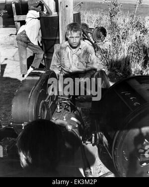 Paul Newman, on-set of the Film 'Cool Hand Luke', 1967 Stock Photo