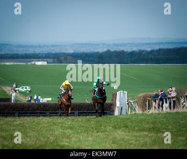 Chilterns, UK. 06th Apr, 2015. Old Berkley Hunt Easter Monday Point to Point. Credit:  roger askew/Alamy Live News Stock Photo