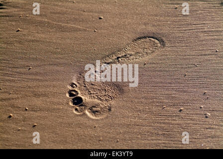 Human Footprint right foot on a beach near the sea Stock Photo