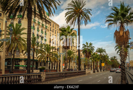Cars and people on late afternoon streets and pedestrian ways in Seaside Barcelona, Spain Stock Photo