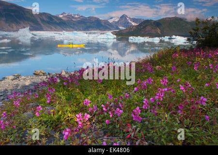 Kayaking in Bear Glacier Lagoon, Kenai Fjords National Park, near Seward, Alaska.  (model released) Stock Photo