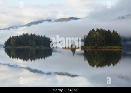Berg Bay, Tongass National Forest, Alaska. Stock Photo
