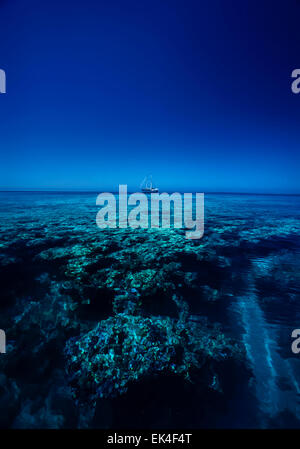 SUDAN, Red Sea, Sanghaneb Reef, view of the huge coral reef Stock Photo