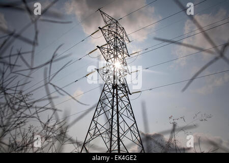 Eskom Pylons in Soweto. 15/01/15 Photo: Oupa Nkosi Stock Photo