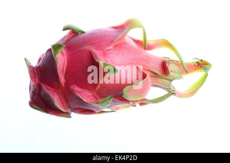 Tropical fruit, Pitahaya fruit, dragon fruit, Hylocereus undatus Stock Photo