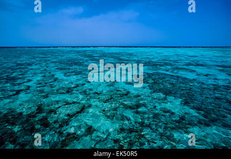 SUDAN, Red Sea, Sanghaneb Reef, view of the huge coral reef Stock Photo