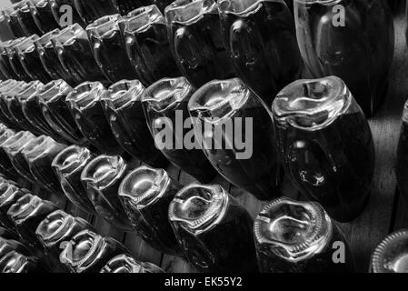 Italy, Sicily, champagne bottles aging in a wine cellar Stock Photo