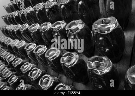 Italy, Sicily, champagne bottles aging in a wine cellar Stock Photo