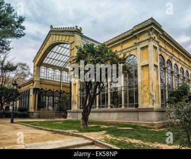 Tropical greenhouse 'Umbracle' in the Parc de la Ciutadella, Barcelona, Spain Stock Photo