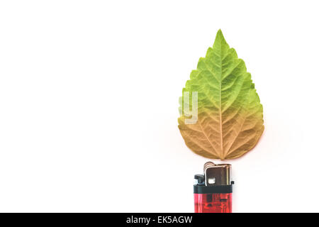 lighter with green leaf, burn concept isolated on white Stock Photo