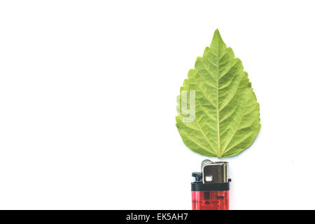 lighter with green leaf, burn concept isolated on white Stock Photo
