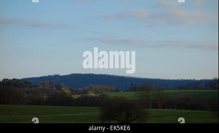 ridge of South Downs in evening light, March. silhouettes of trees on horizon, distance blue Stock Photo
