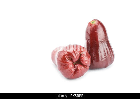 Rose apple isolated  on white background Stock Photo