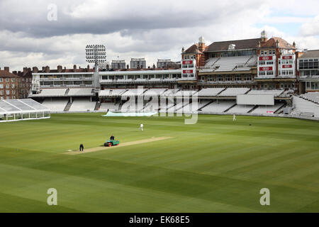 Ground staff maintain the pitch in front of the main grandstand at the Oval Cricket Ground, home of Surrey County Cricket Club Stock Photo