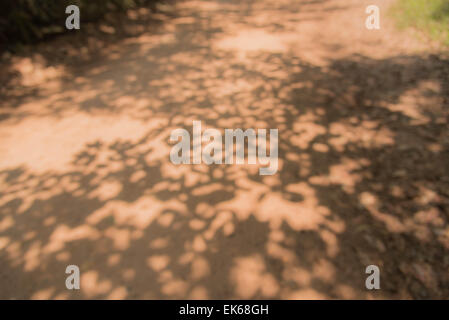 Shade trees on the ground to blur the background. Stock Photo