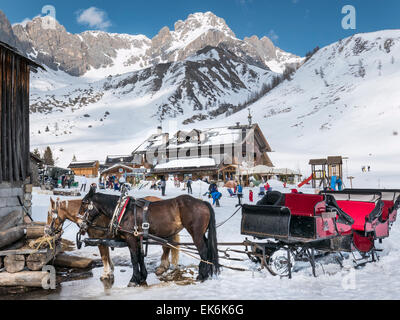 Horse drawn sleigh brings visitors to the Rifugio Fuciade, Pale di San Martino, Dolomite Mountains, Alps, Italy Stock Photo