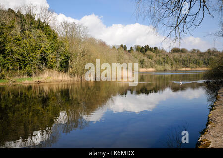 Quoile River, Downpatrick, Northern Ireland Stock Photo