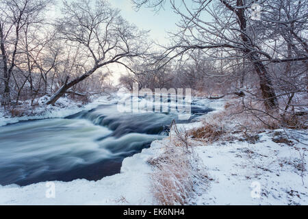 Beautiful winter sunset at the river Krinka. Plants, trees and blue sky. Dusk. Forest in Ukraine Stock Photo