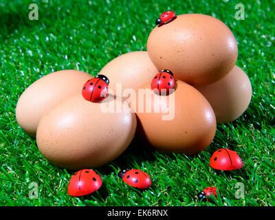 Six fresh eggs in the grass with ladybugs Stock Photo