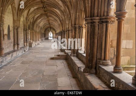 The eastern (looking south) covered walkway of the cloister at Norwich Cathedral in the county of Norfolk in England, UK. Stock Photo