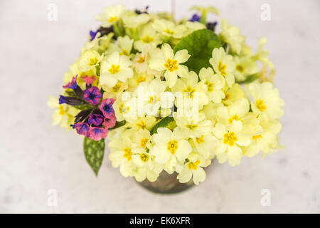 Flower arranging: Pretty posy of English spring flowers arranged in a vase - yellow primroses and purple/pink lungwort Stock Photo