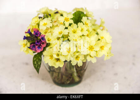 Flower arranging: Pretty posy of English spring flowers arranged in a vase - yellow primroses and purple/pink lungwort Stock Photo