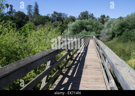 Wooden plank bridge at a lake Stock Photo