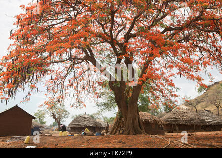 Landscape near Kapedo Village, Kaabong District - Karamoja, Uganda, East Africa Stock Photo