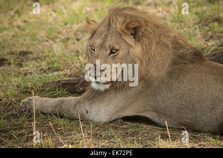 Kidepo Valley National Park in Northern Uganda, East Africa Stock Photo
