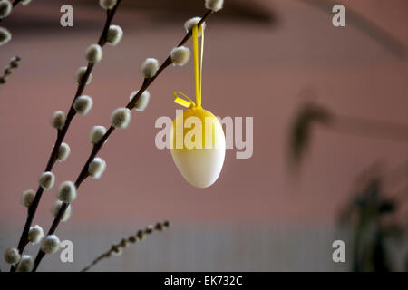 Easter egg hanging on a willow twig Willow branch home inside Stock Photo