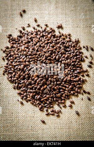 Roasted Barley, used as a flavouring in beer making.