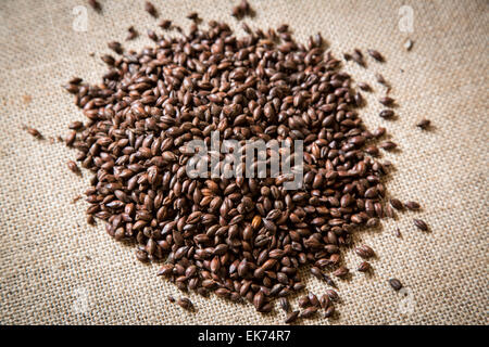 Roasted Barley, used as a flavouring in beer making.